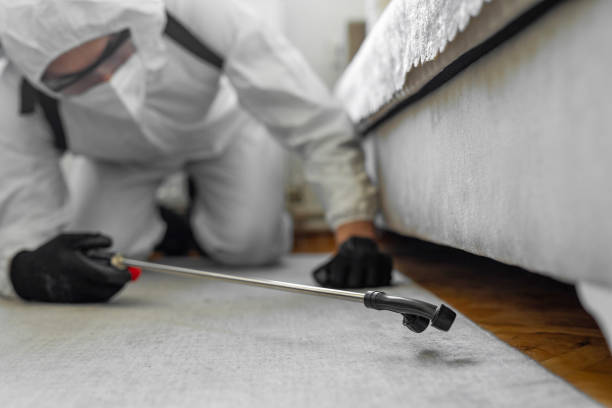 Professional Termite Control technician working in Grace, ID