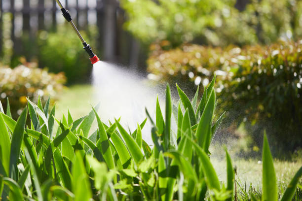 24/7 Emergency Termite Control experts in Grace, ID