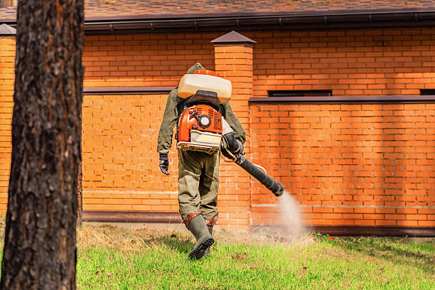 Top rated local Termite Control specialists in Grace, ID